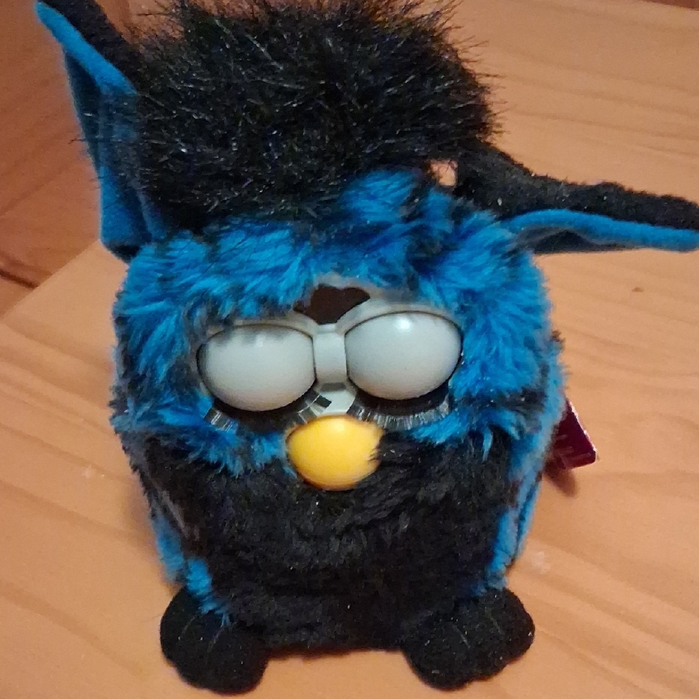 Blue and Black Interactive Pet Toy